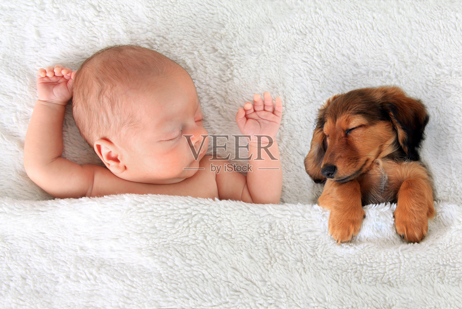 熟睡的婴儿和小狗照片摄影图片