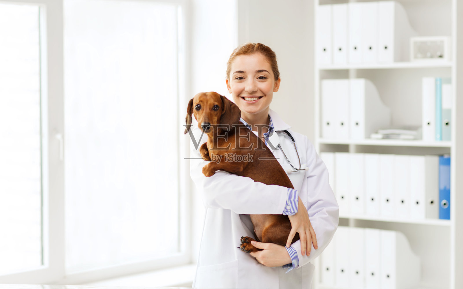 快乐的医生和狗在兽医诊所照片摄影图片