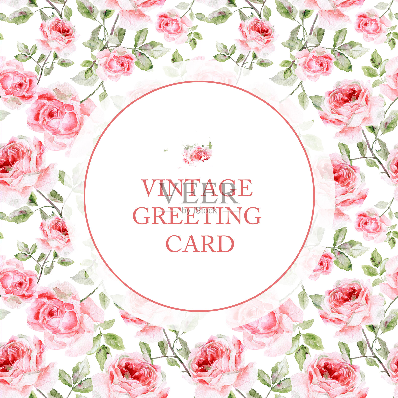 白色背景下粉红玫瑰的贺卡。设计模板素材