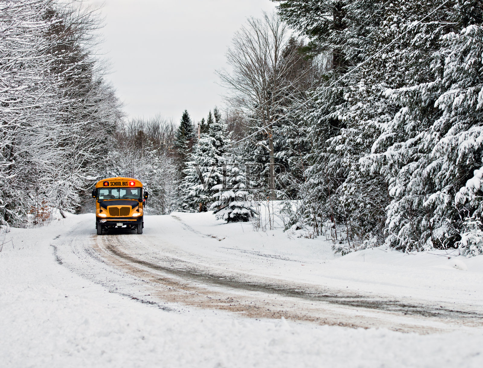校车行驶在一条被雪覆盖的路上照片摄影图片