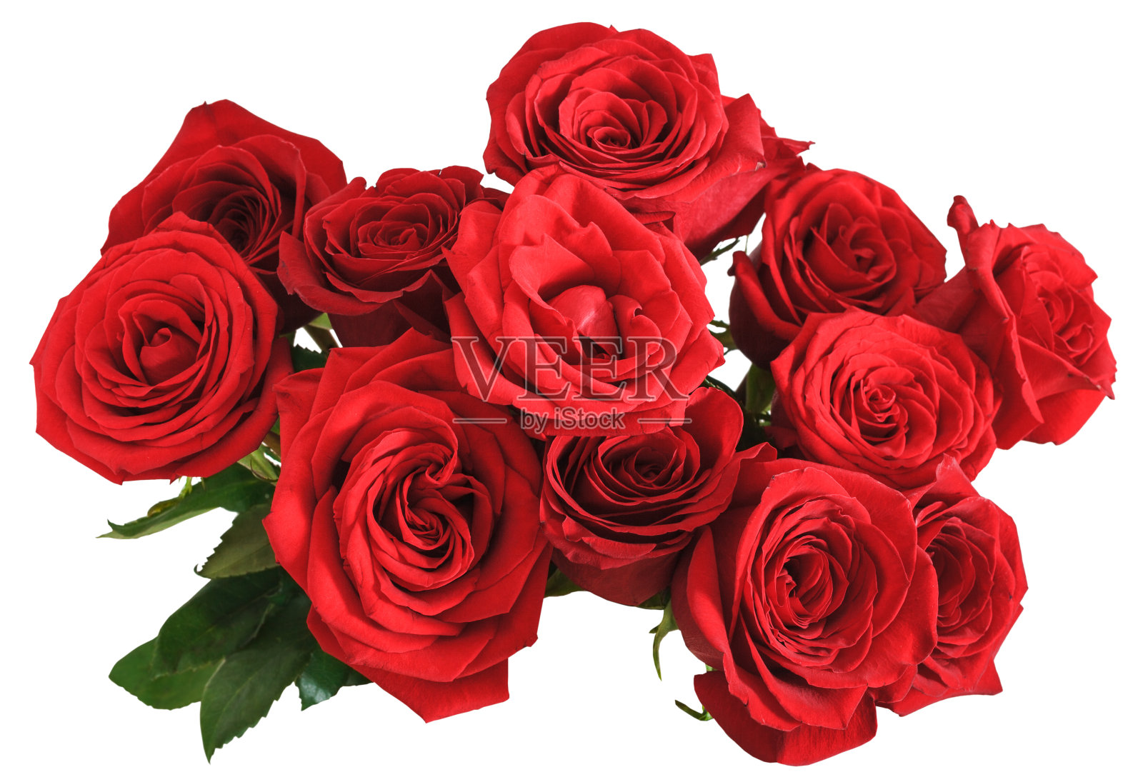 上图为孤立的红玫瑰花束照片摄影图片