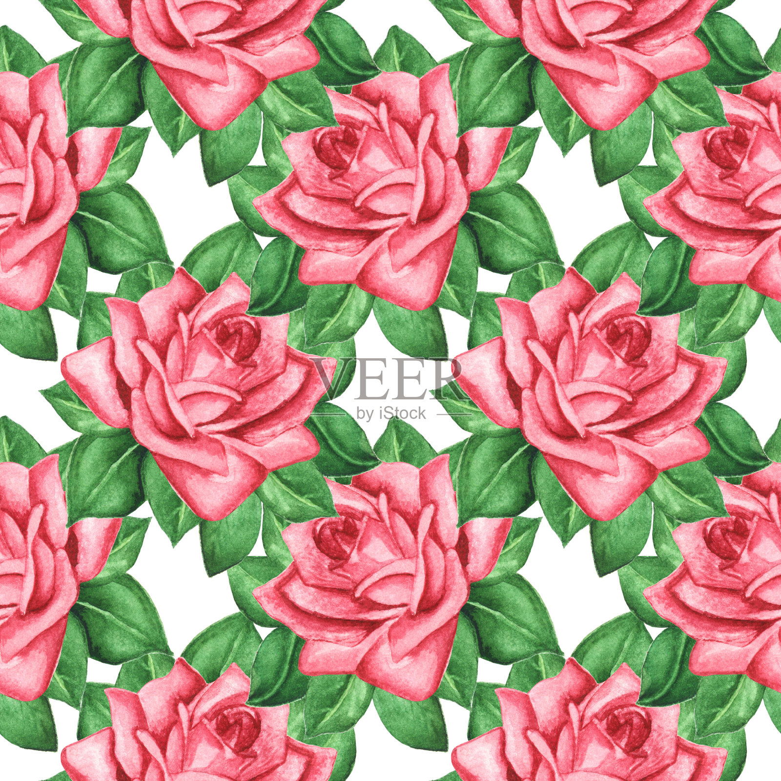 水彩无缝图案与玫瑰花，绿叶插画图片素材