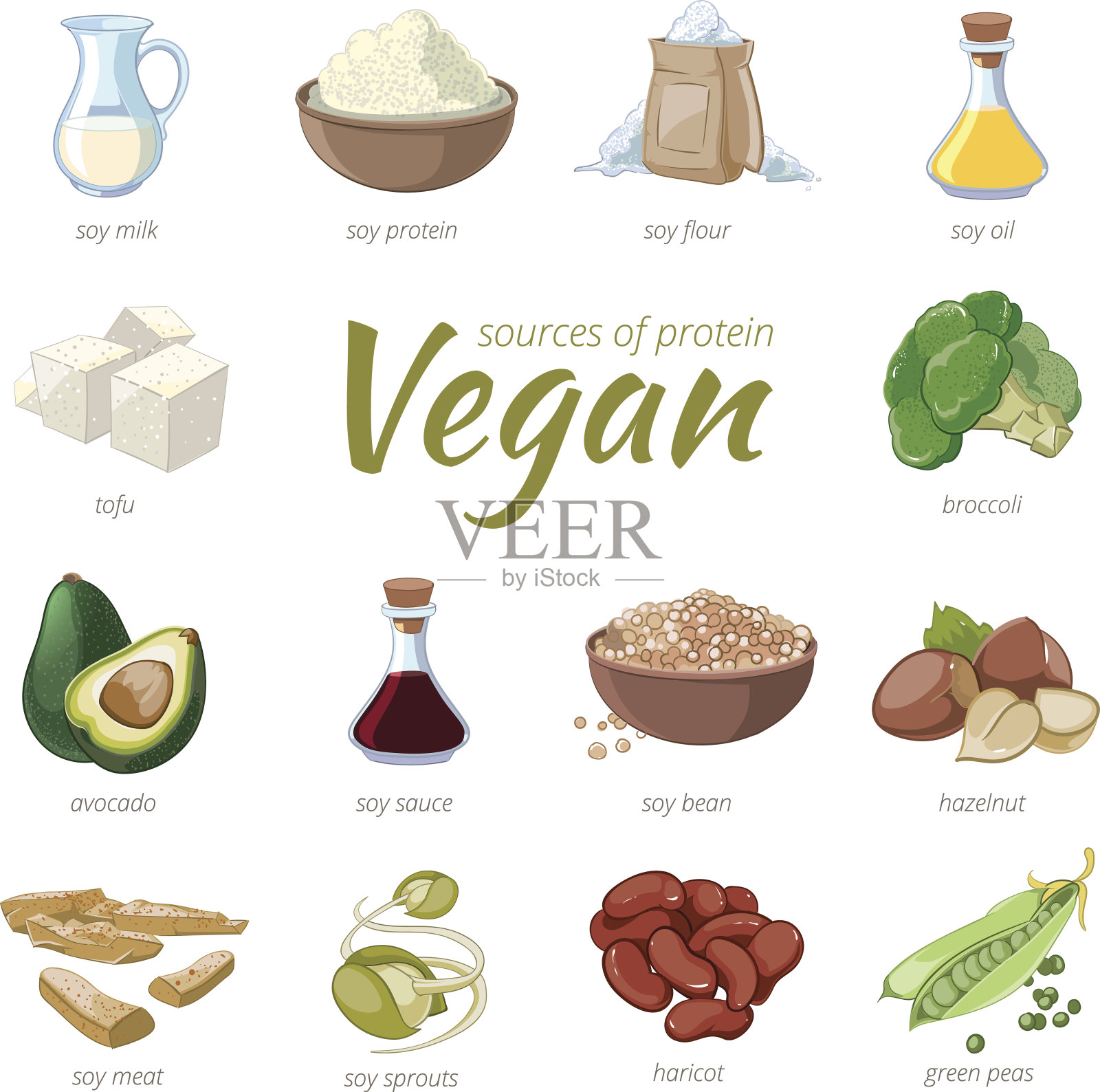 素食的蛋白质来源。植物蛋白载体图标插画图片素材