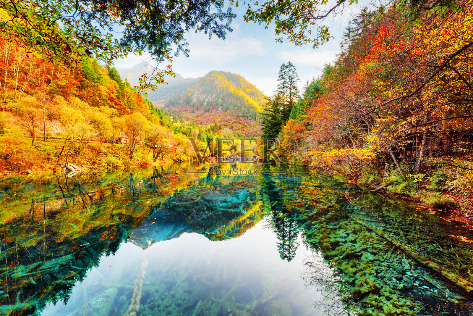 秋林中的五花湖景色优美照片摄影图片