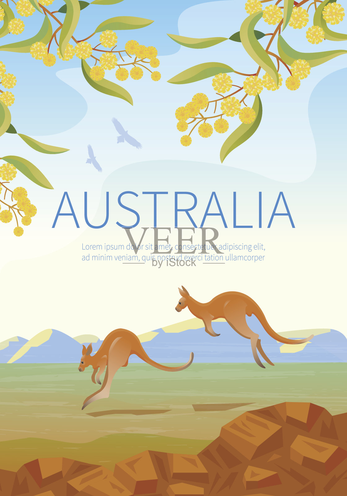 澳洲风景海报上有两只袋鼠。插画图片素材