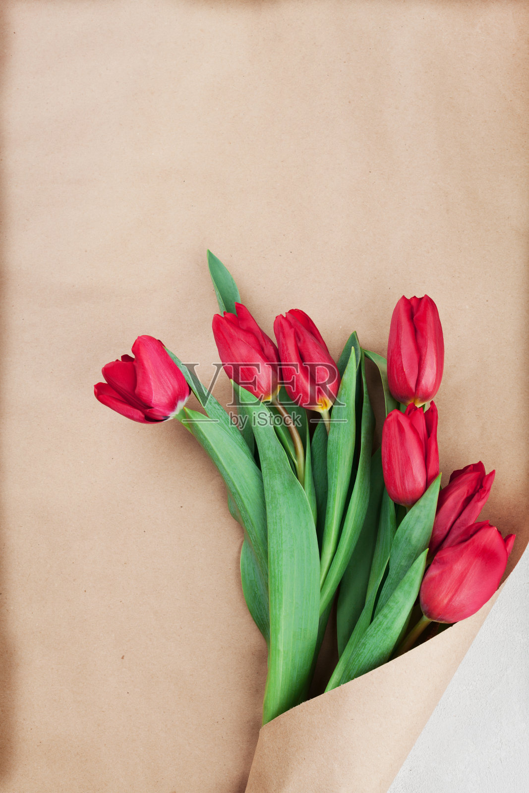 牛皮纸包裹着春天的郁金香花。平的。插画图片素材