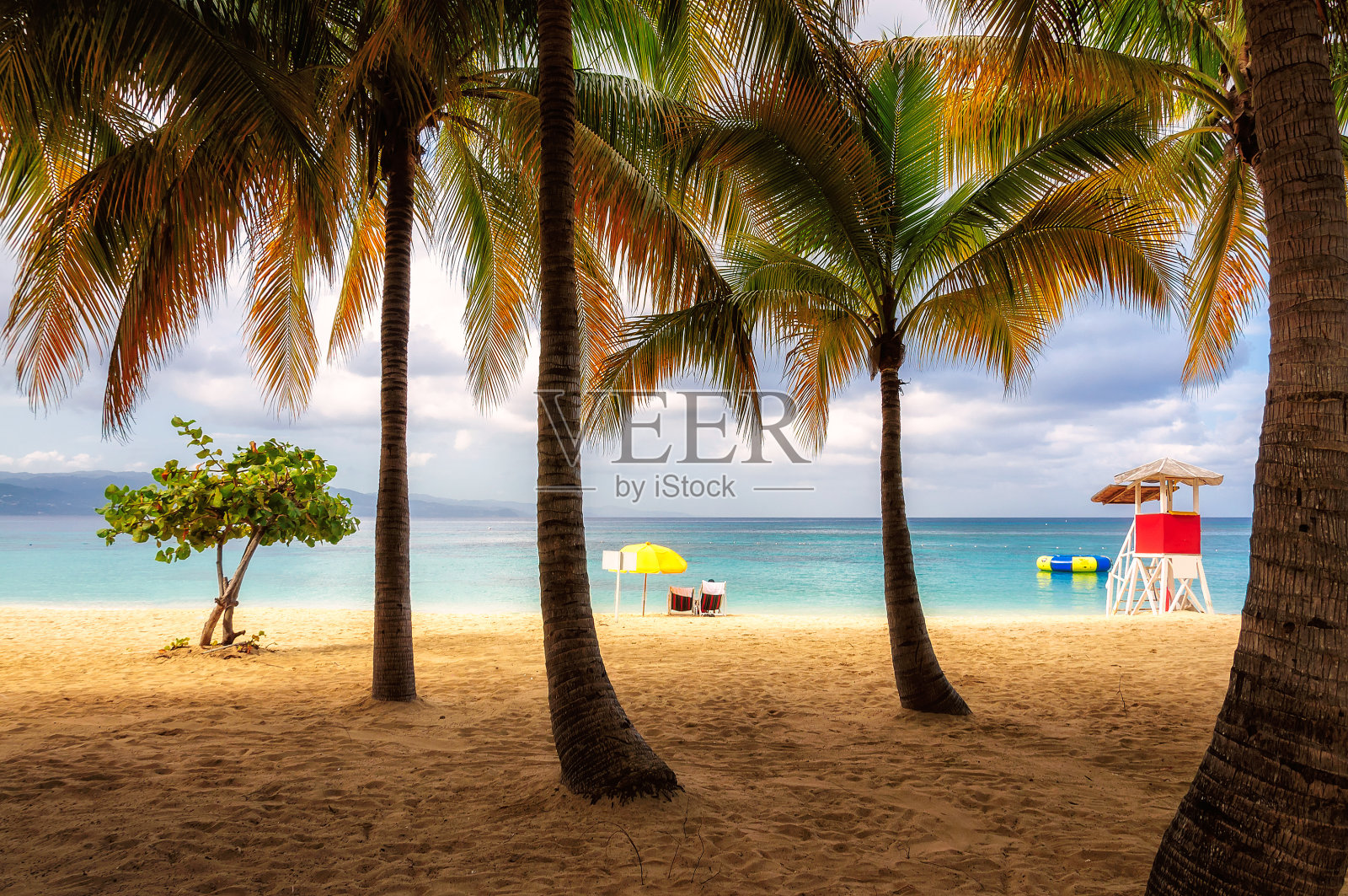 牙买加的海滩，加勒比海上有高大的棕榈树照片摄影图片