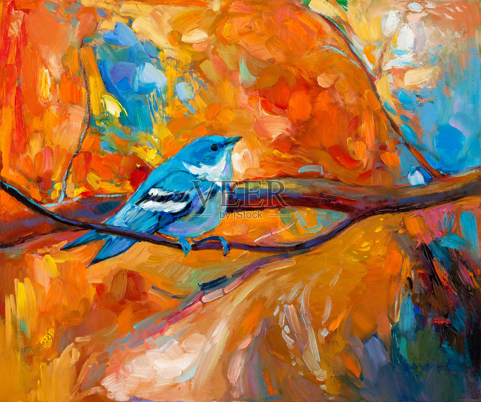 蓝色的林莺鸟插画图片素材