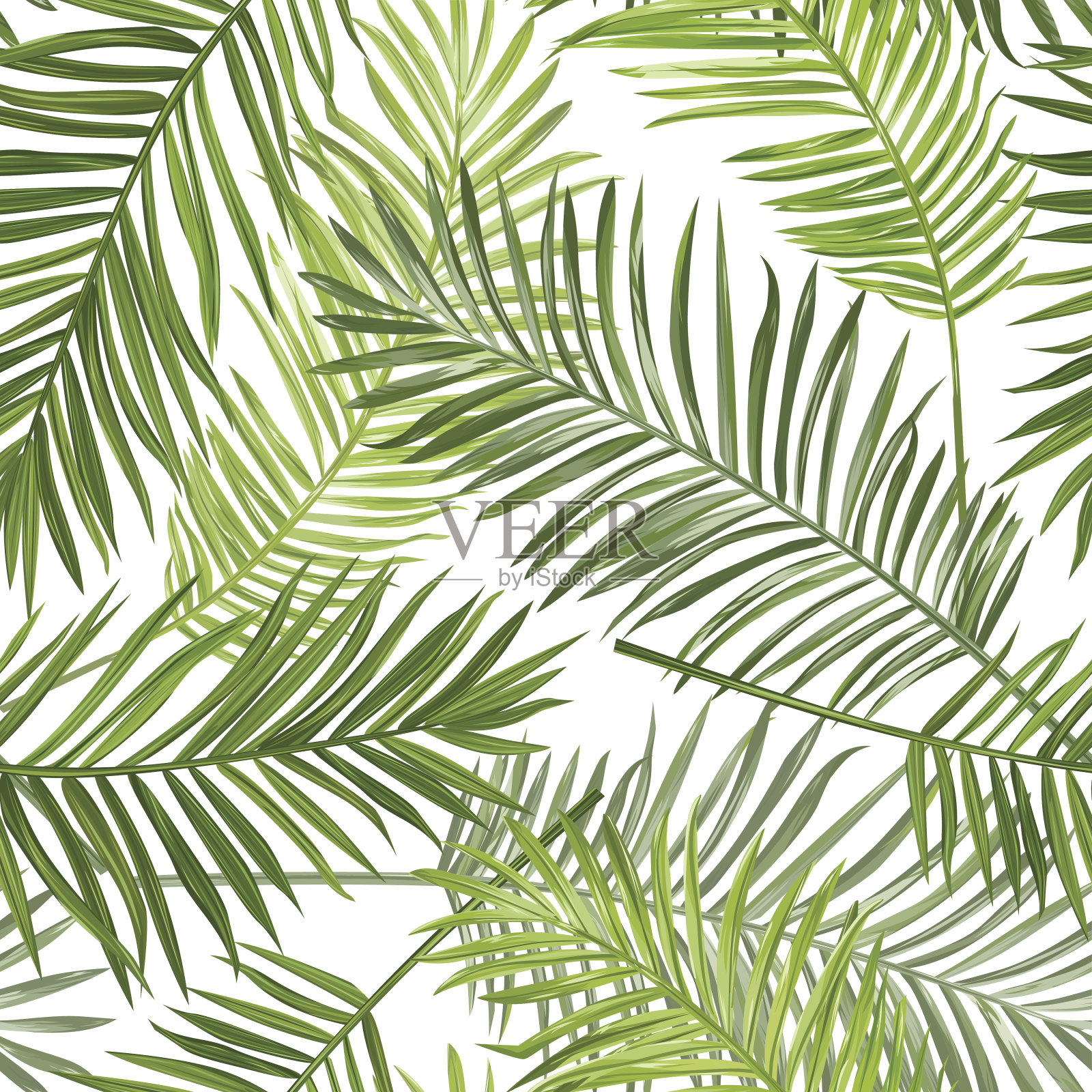 无缝热带棕榈叶背景-设计，剪贴簿插画图片素材
