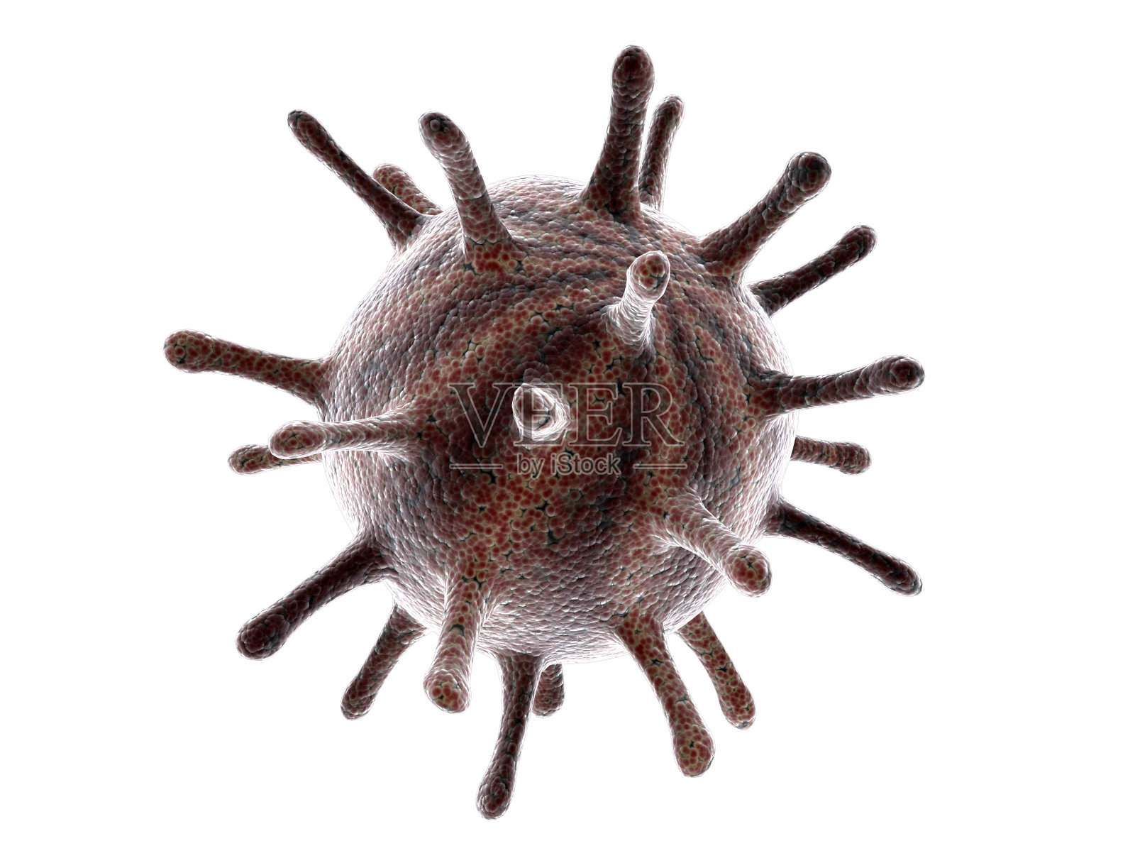 细菌病毒细胞分离于白色照片摄影图片