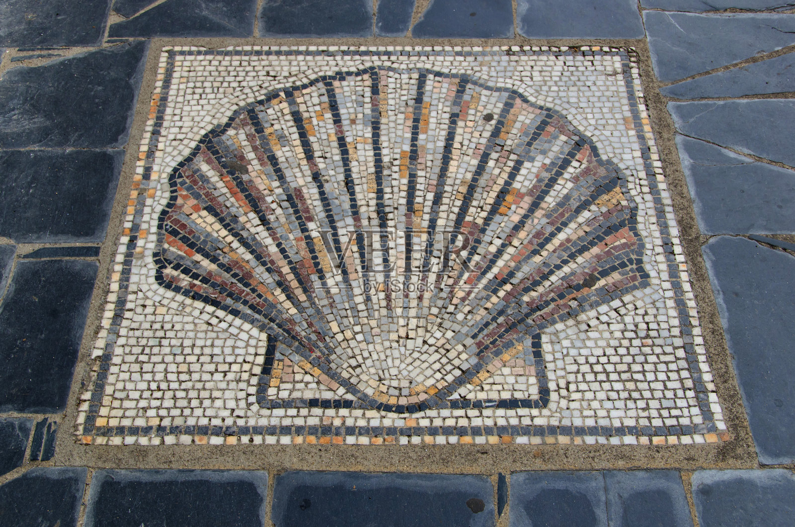 扇贝贝壳象征着大地圣詹姆斯的方式照片摄影图片