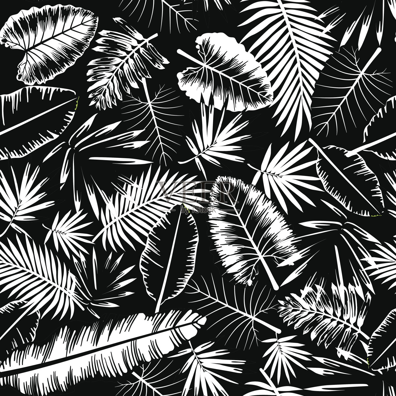 热带丛林的模式插画图片素材