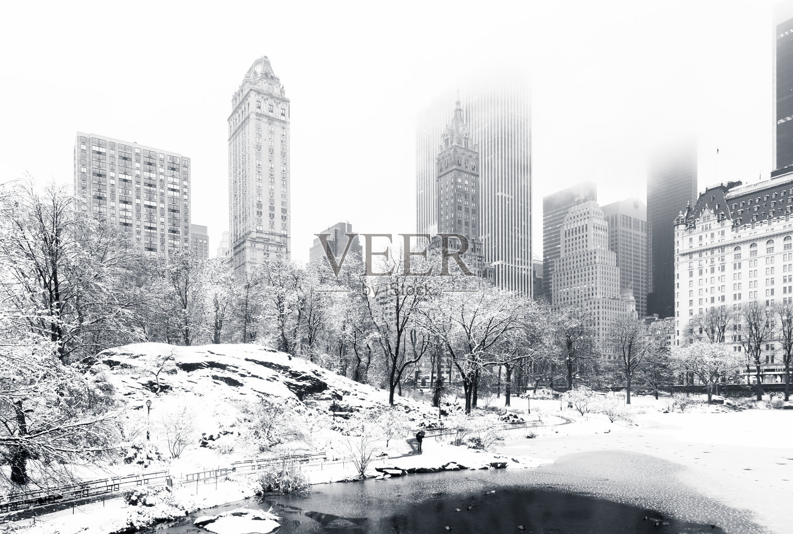 纽约中央公园的冬天照片摄影图片