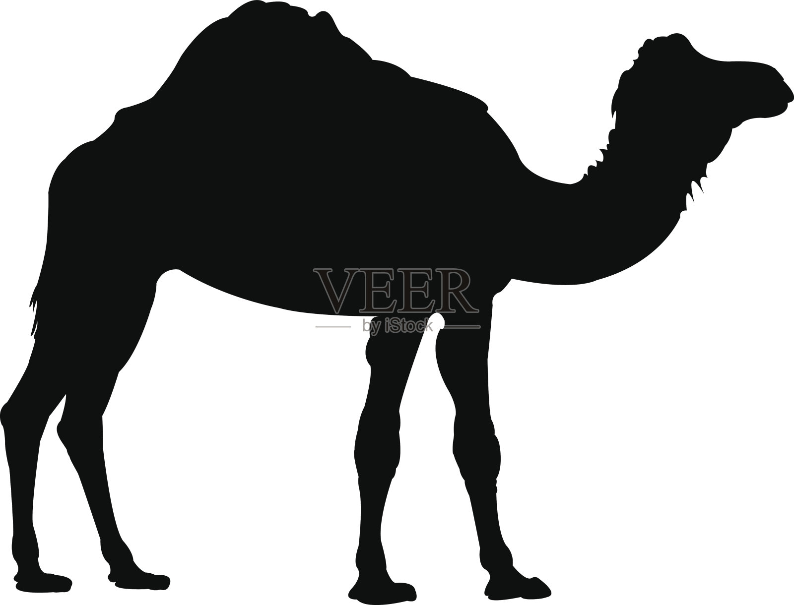骆驼轮廓插画图片素材