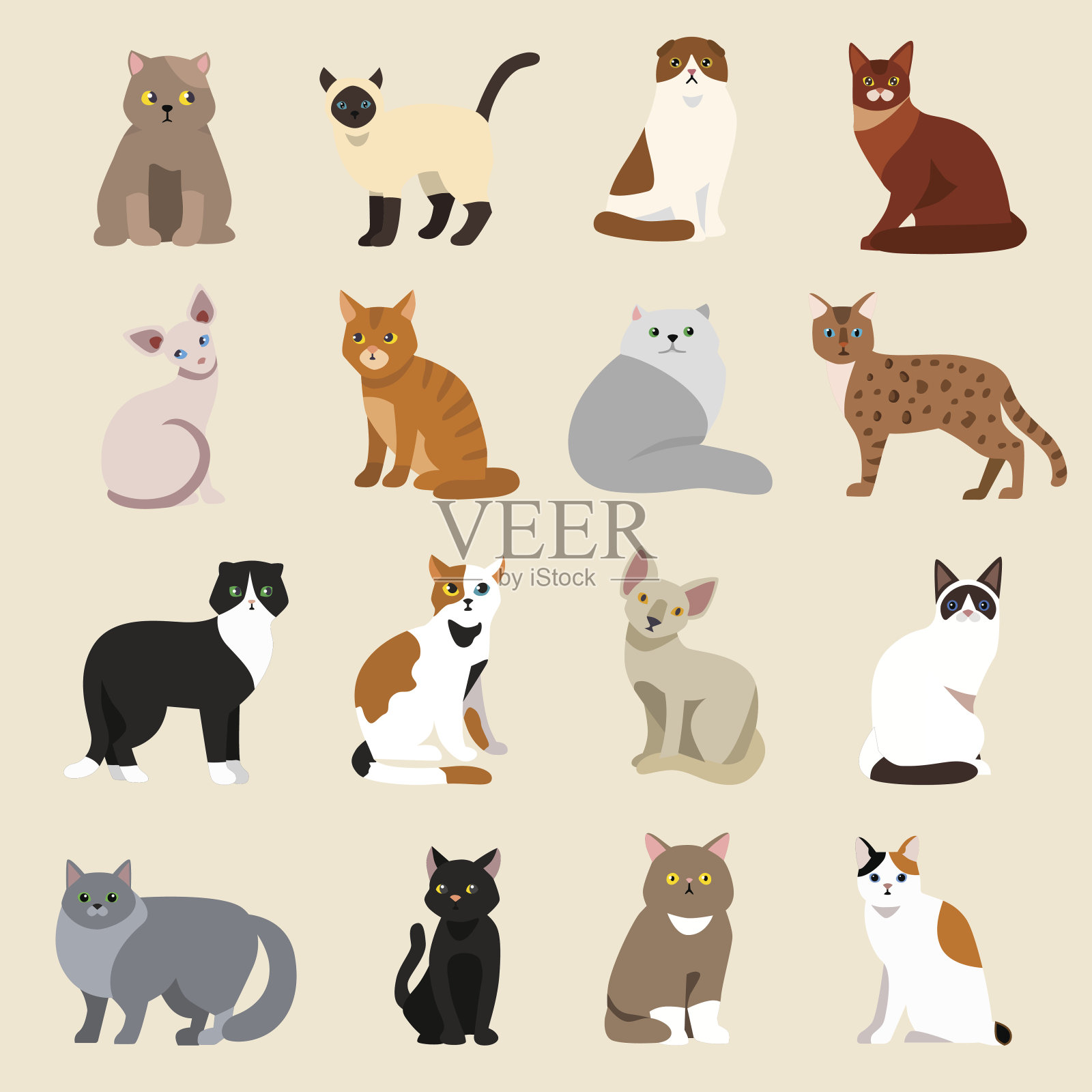 猫品种可爱的宠物动物集插画图片素材