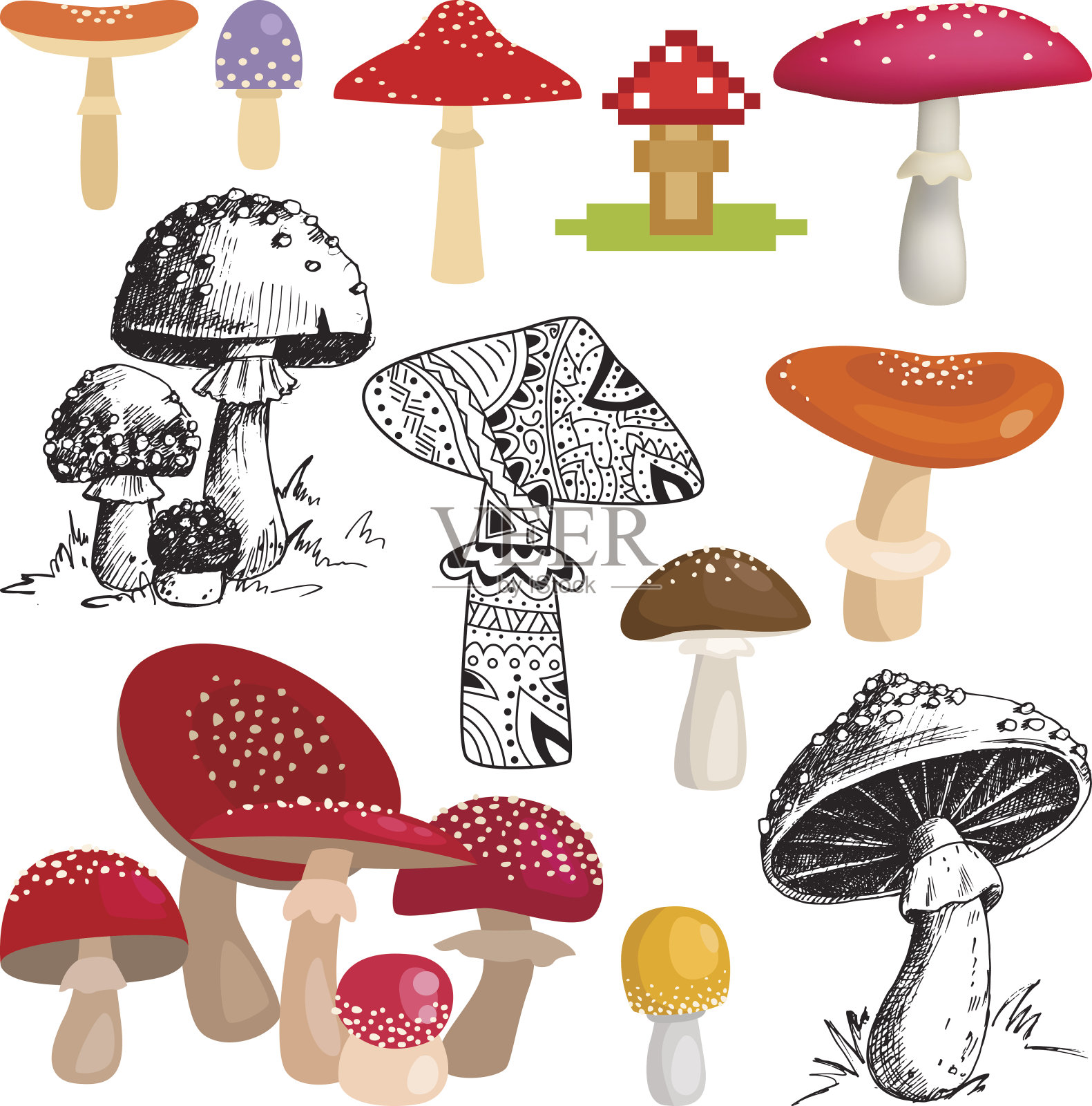 明亮不同类型的蘑菇载体。设计元素图片