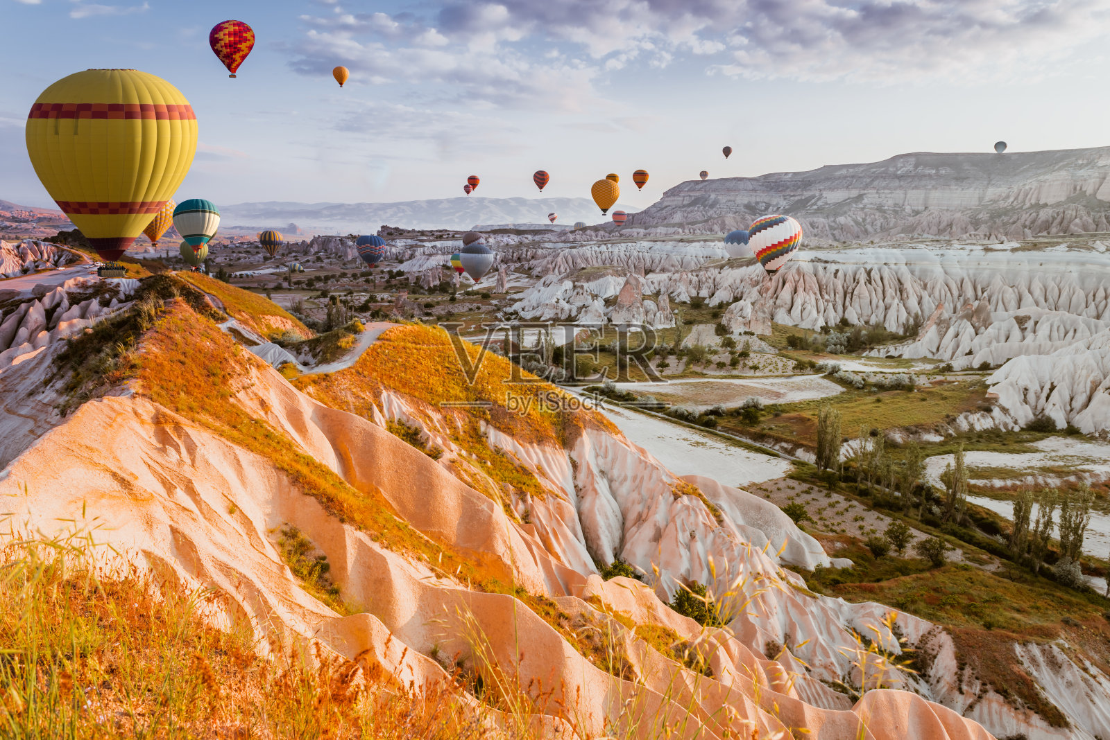 土耳其卡帕多西亚罂粟田上空的热气球照片摄影图片