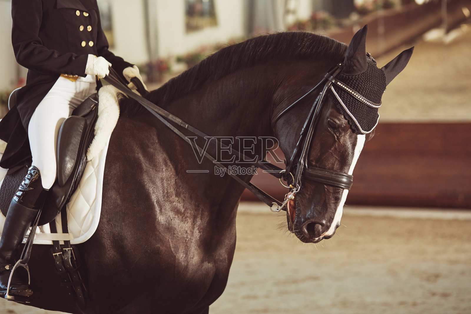 女骑师和他的马照片摄影图片