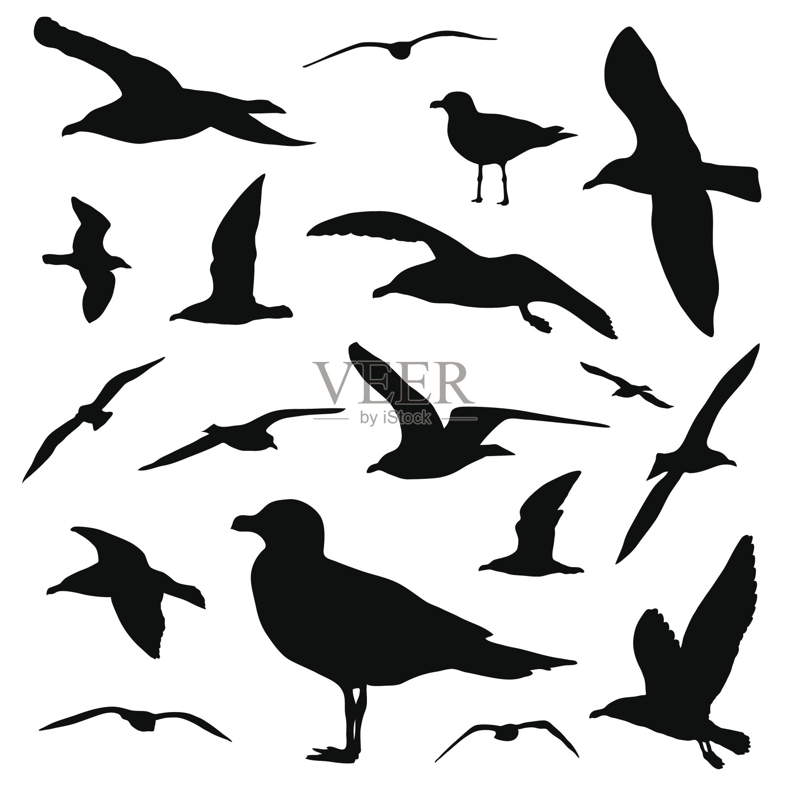 海鸥剪影集孤立的白色背景向量设计元素图片