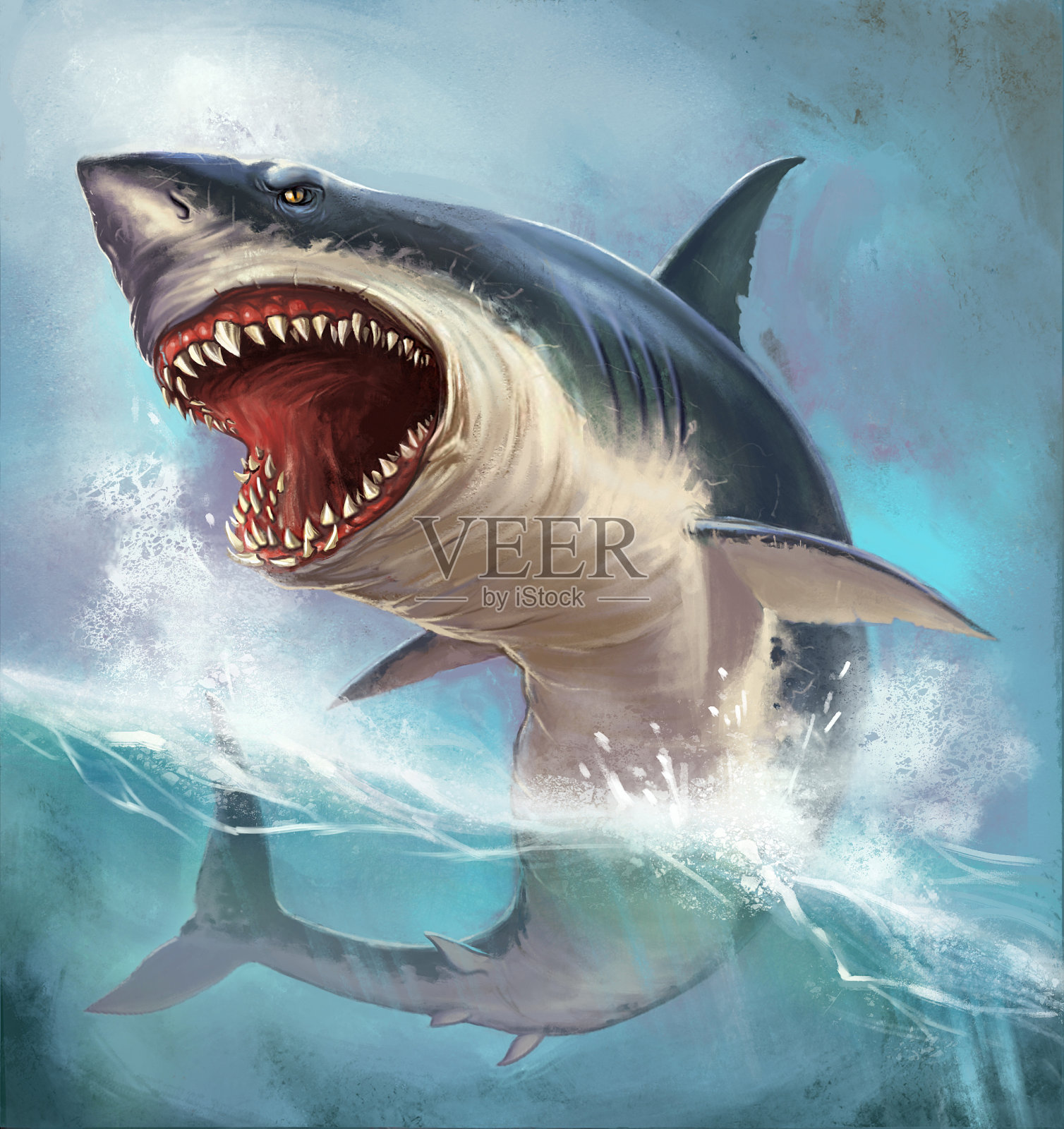 鲨鱼插画图片素材