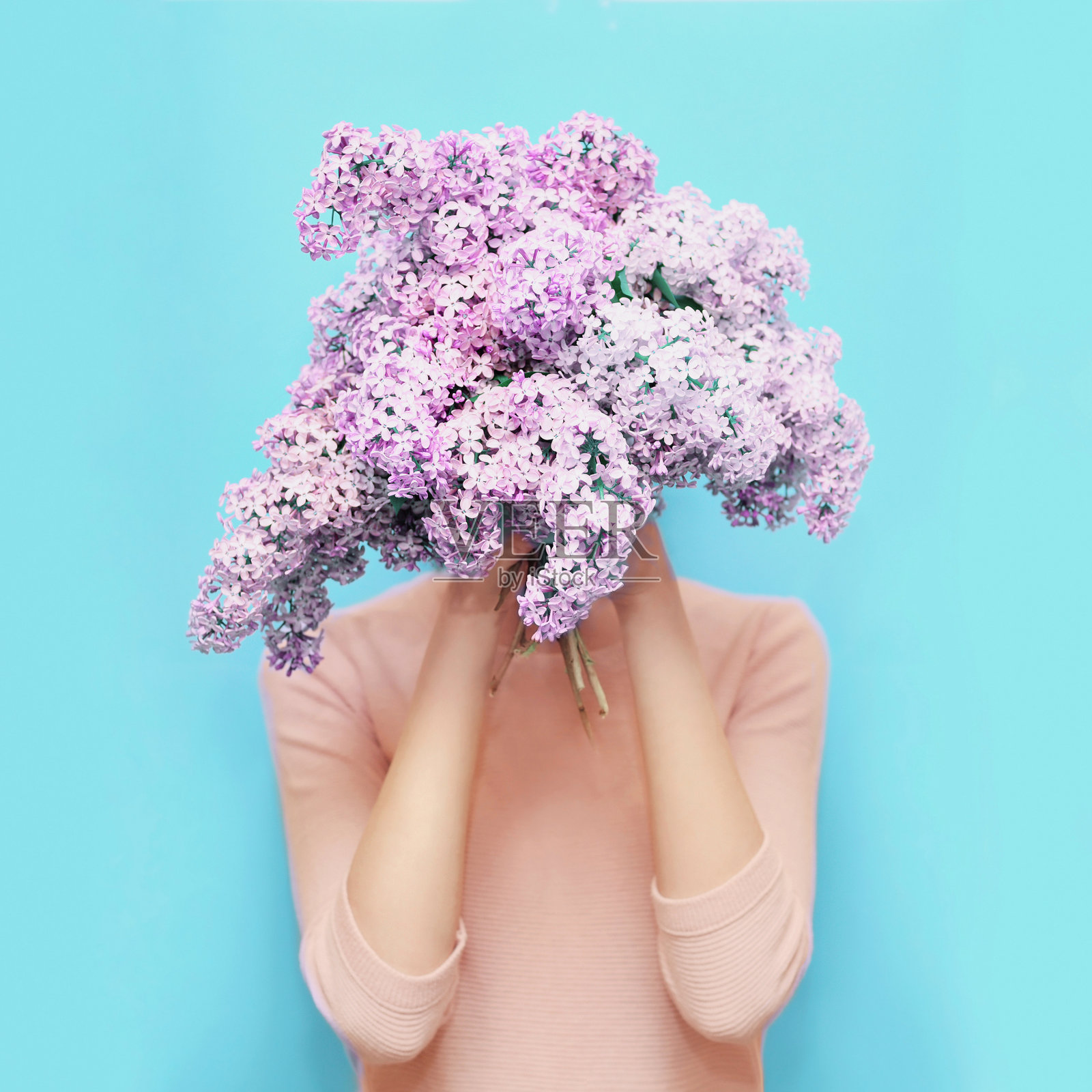 女人隐藏头束丁香花在彩色的蓝色背景照片摄影图片