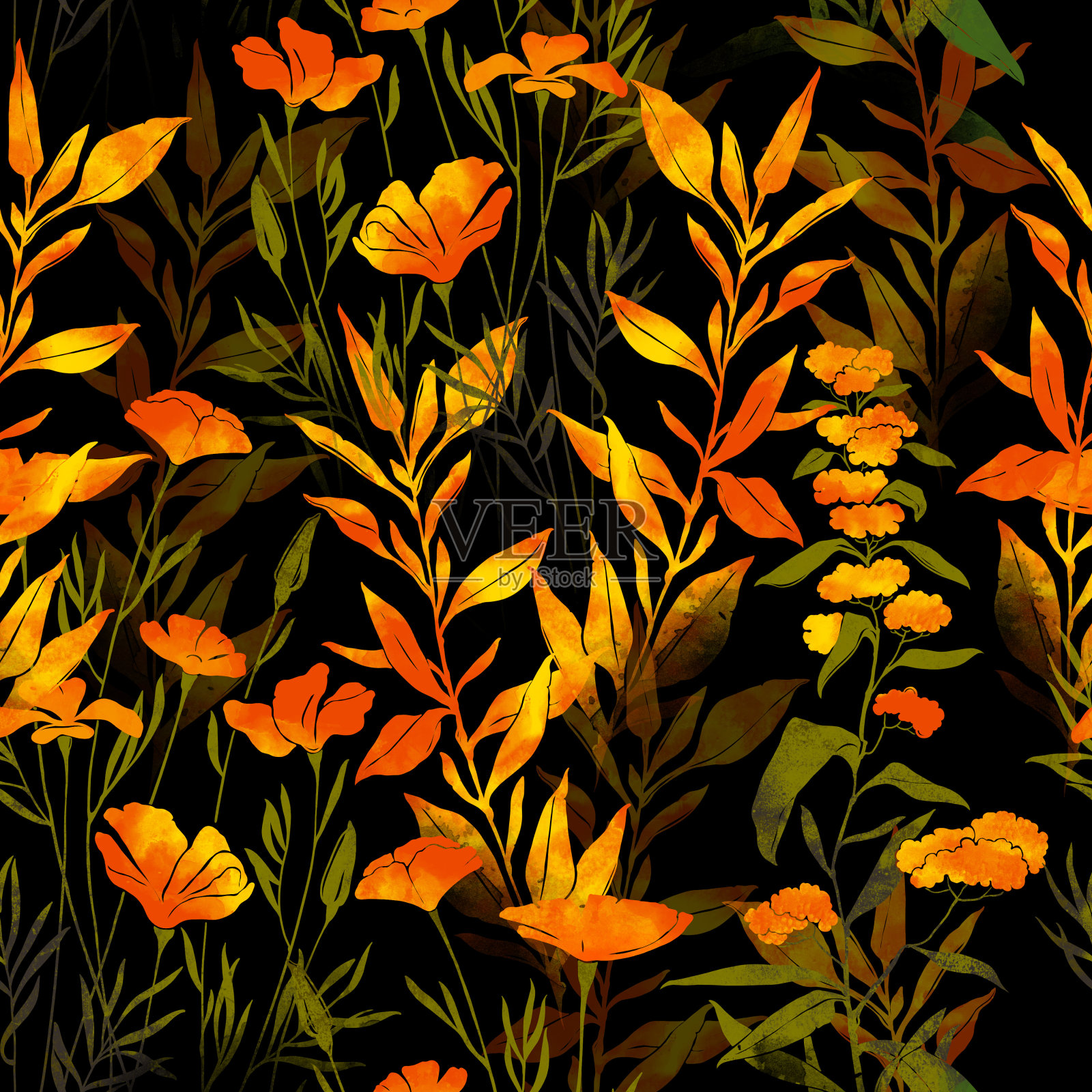 印记草甸花和草本植物插画图片素材