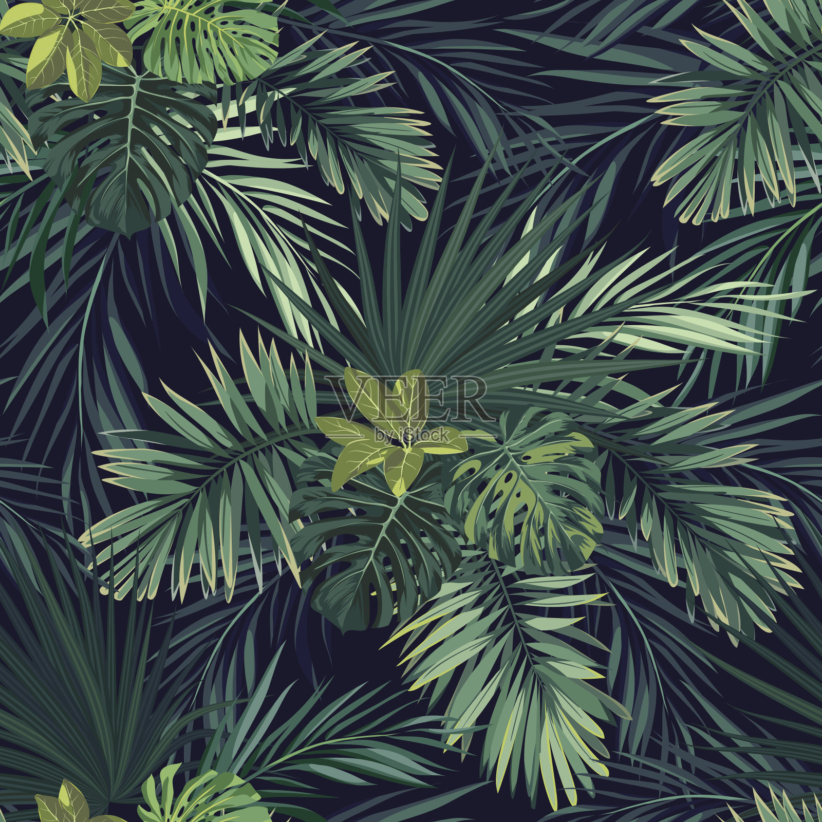 无缝手绘植物外来矢量图案与绿色棕榈叶在黑暗的背景背景图片素材