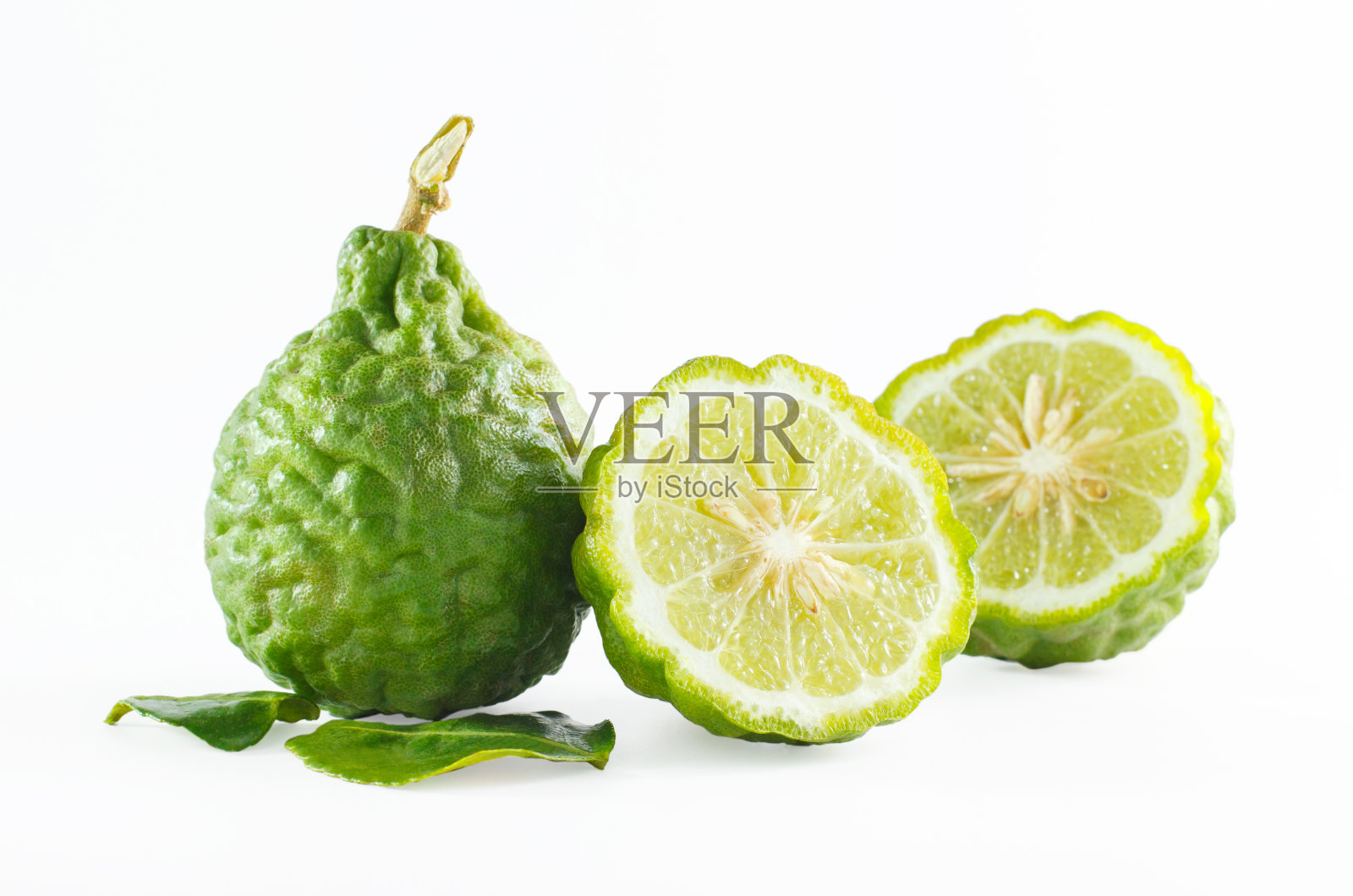绿色粗皮佛手柑果实或卡菲酸橙分离照片摄影图片