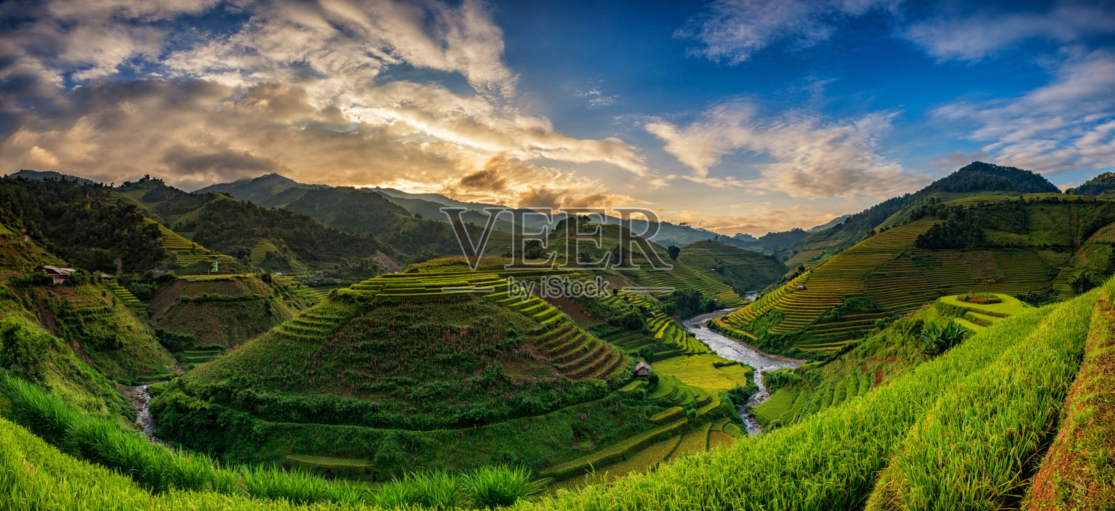 越南木仓寨梯田上的绿色稻田照片摄影图片