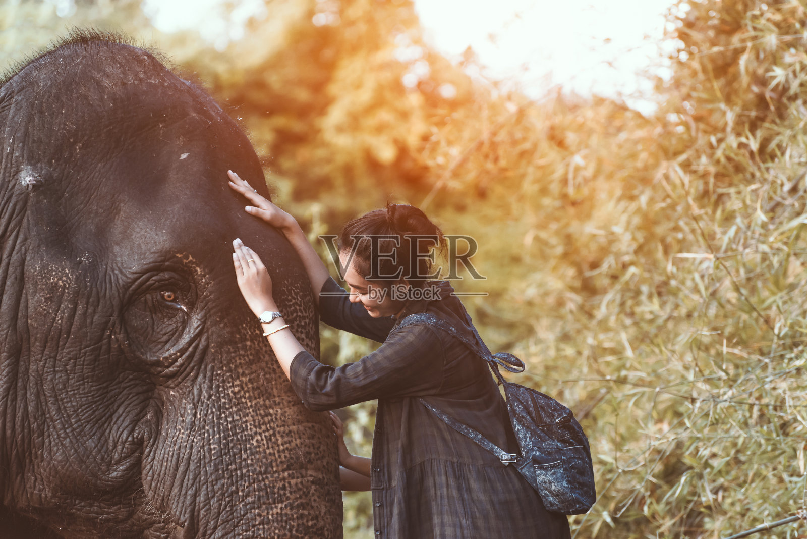 微笑的女孩拥抱着一头大象照片摄影图片