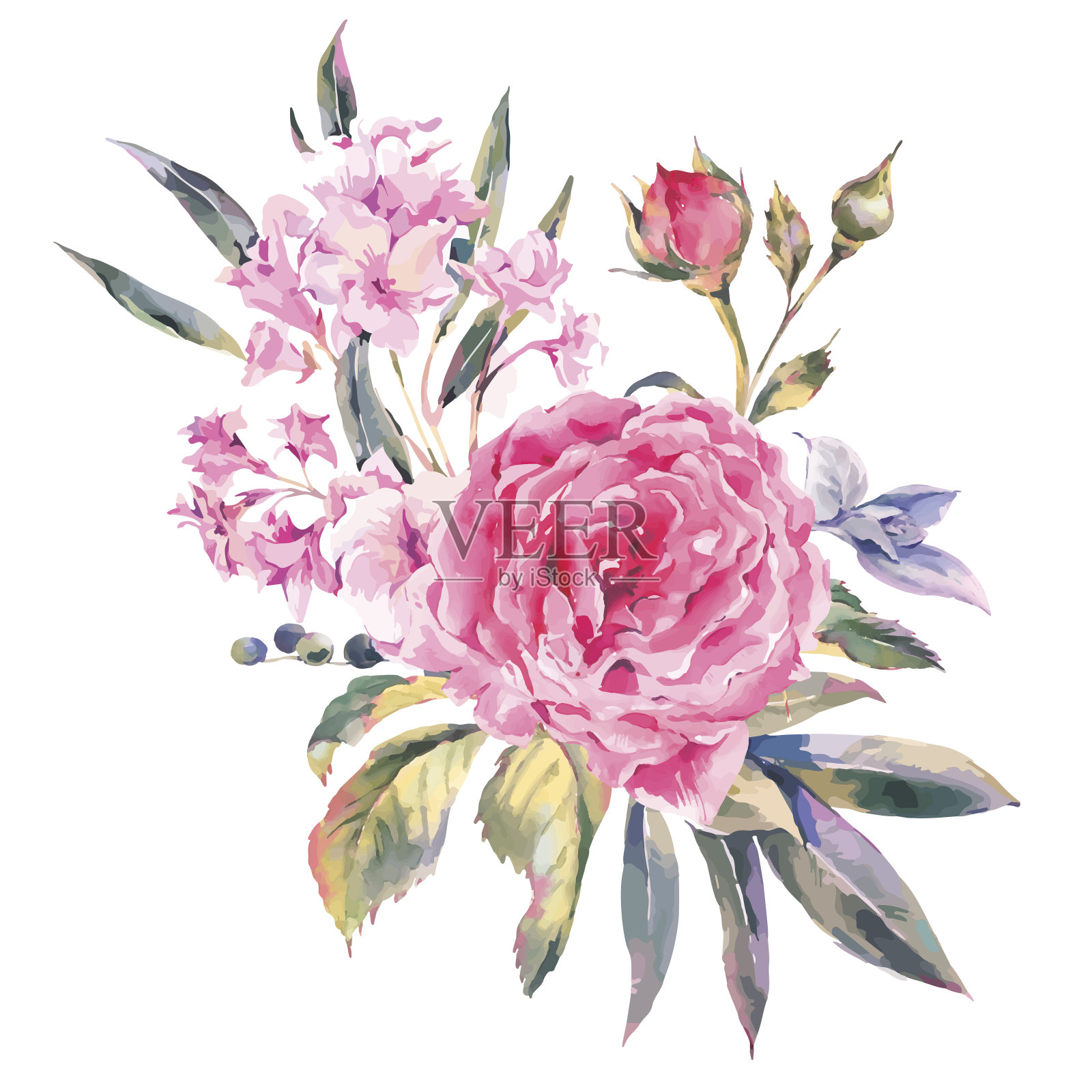 经典复古鲜花贺卡，天然玫瑰花束插画图片素材