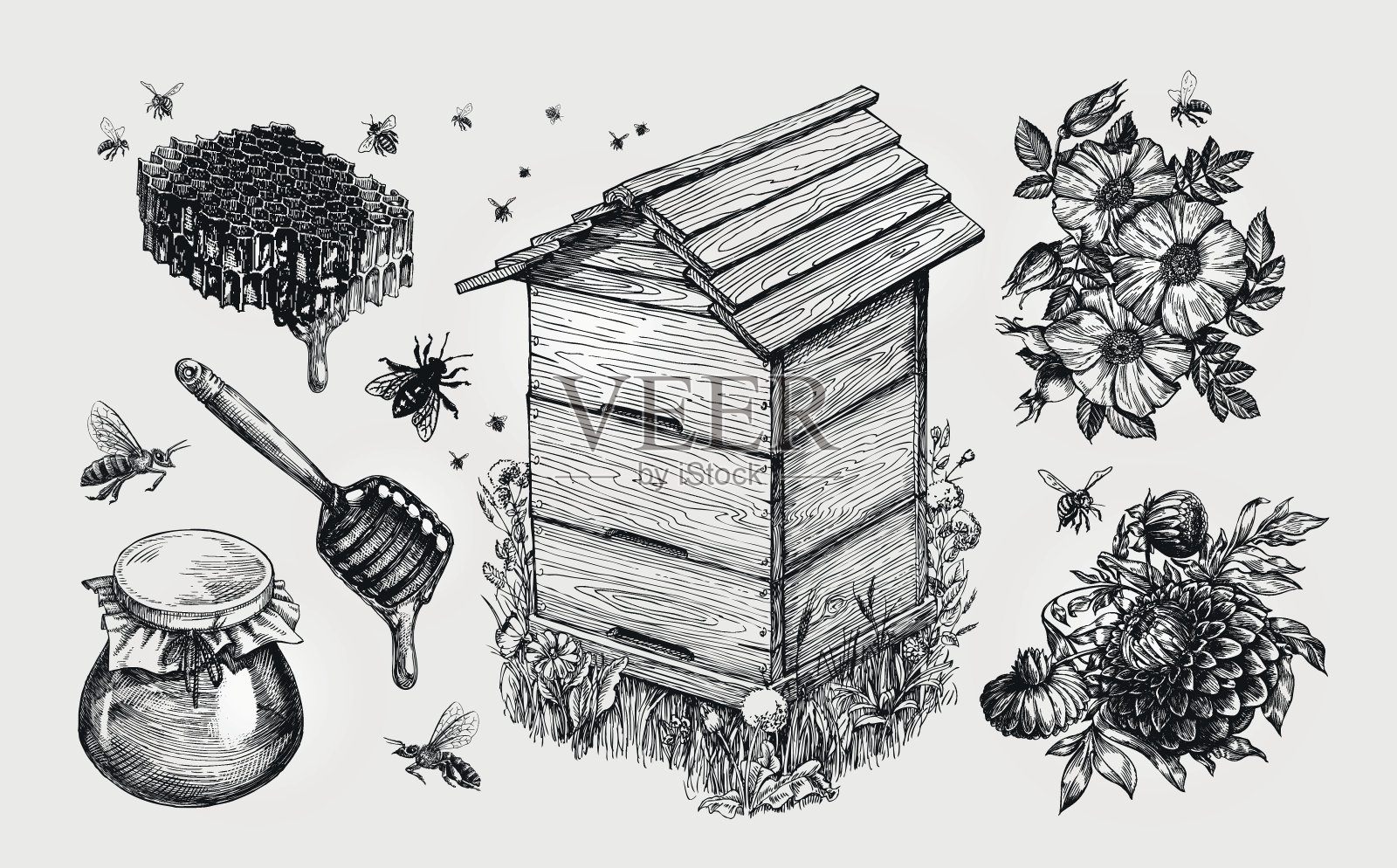 亲爱的,米德。养蜂，养蜂，蜜蜂素描矢量插图插画图片素材