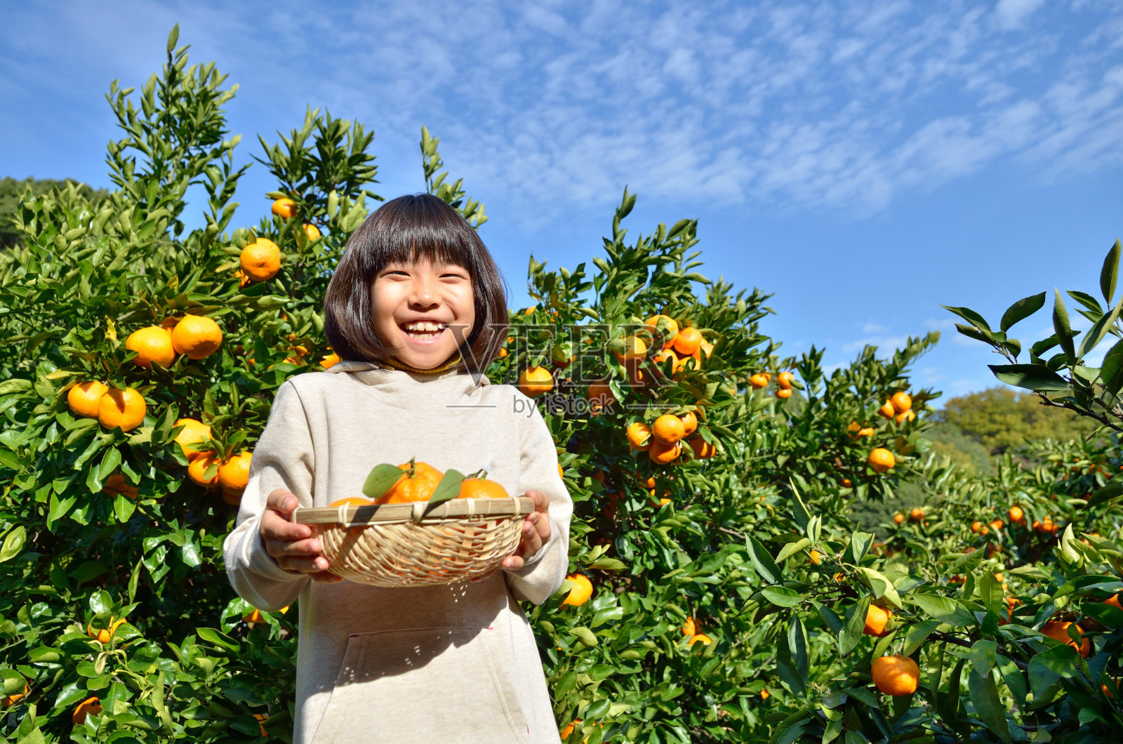 日本女孩摘橘子照片摄影图片