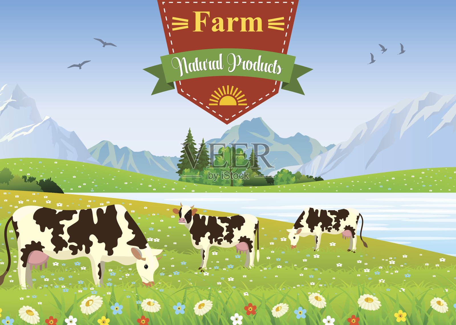 三头牛在一个风景和农场。插画图片素材