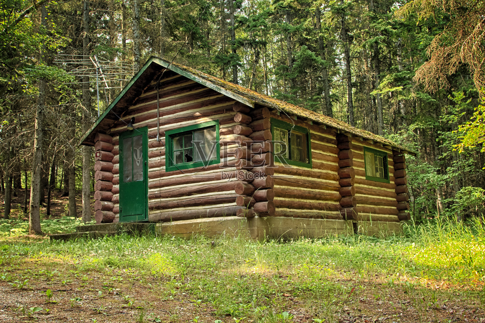 森林中的小木屋照片摄影图片