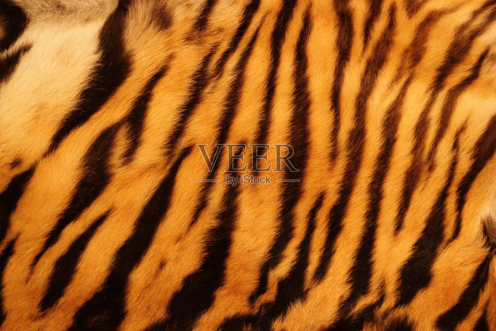 变形老虎的皮毛照片摄影图片