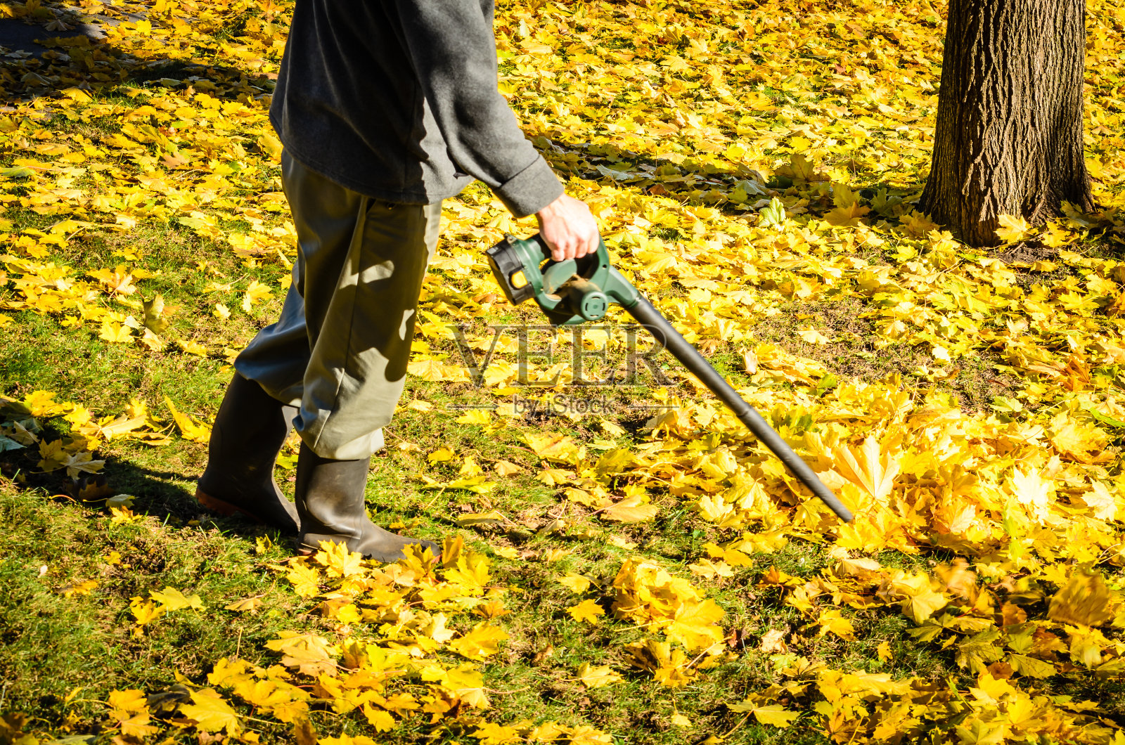 一个阳光明媚的秋日，一名男子正在使用吹叶机照片摄影图片