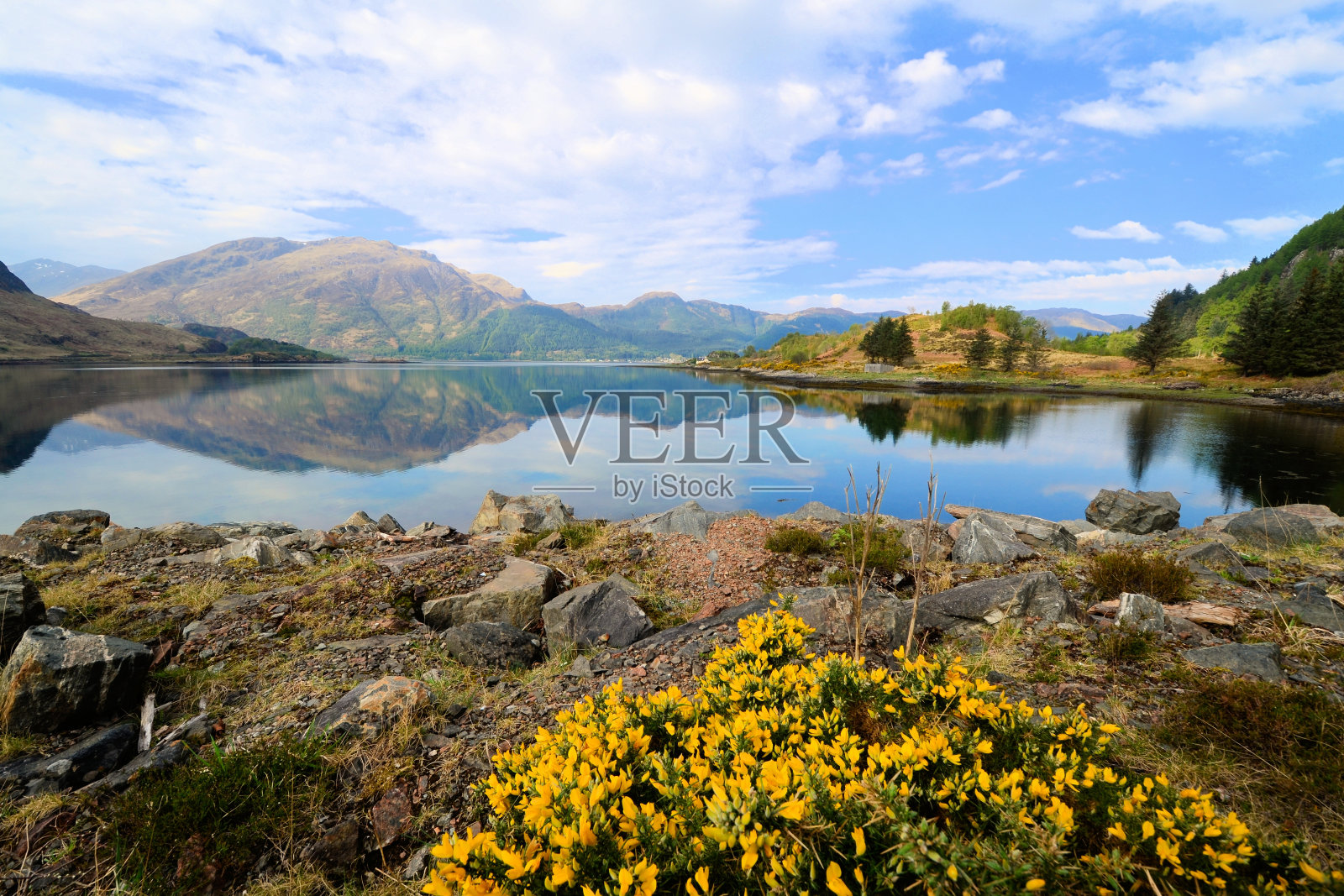 苏格兰的湖泊和高地照片摄影图片