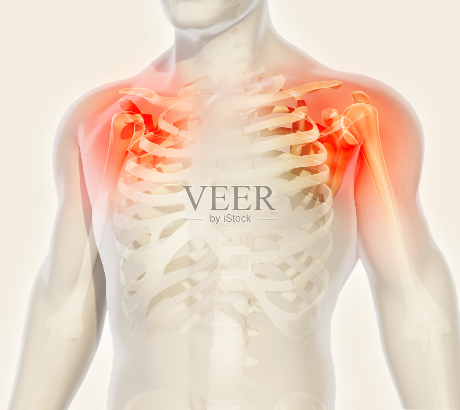 肩部疼痛的骨骼x光，3D插图。照片摄影图片