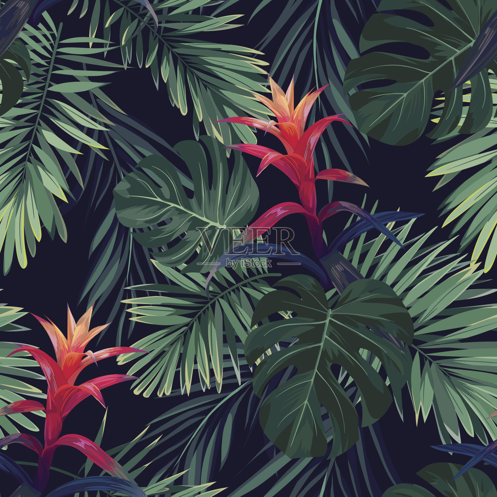 手绘无缝花卉图案与古兹曼花，怪物和皇家棕榈叶。奇异夏威夷矢量背景插画图片素材
