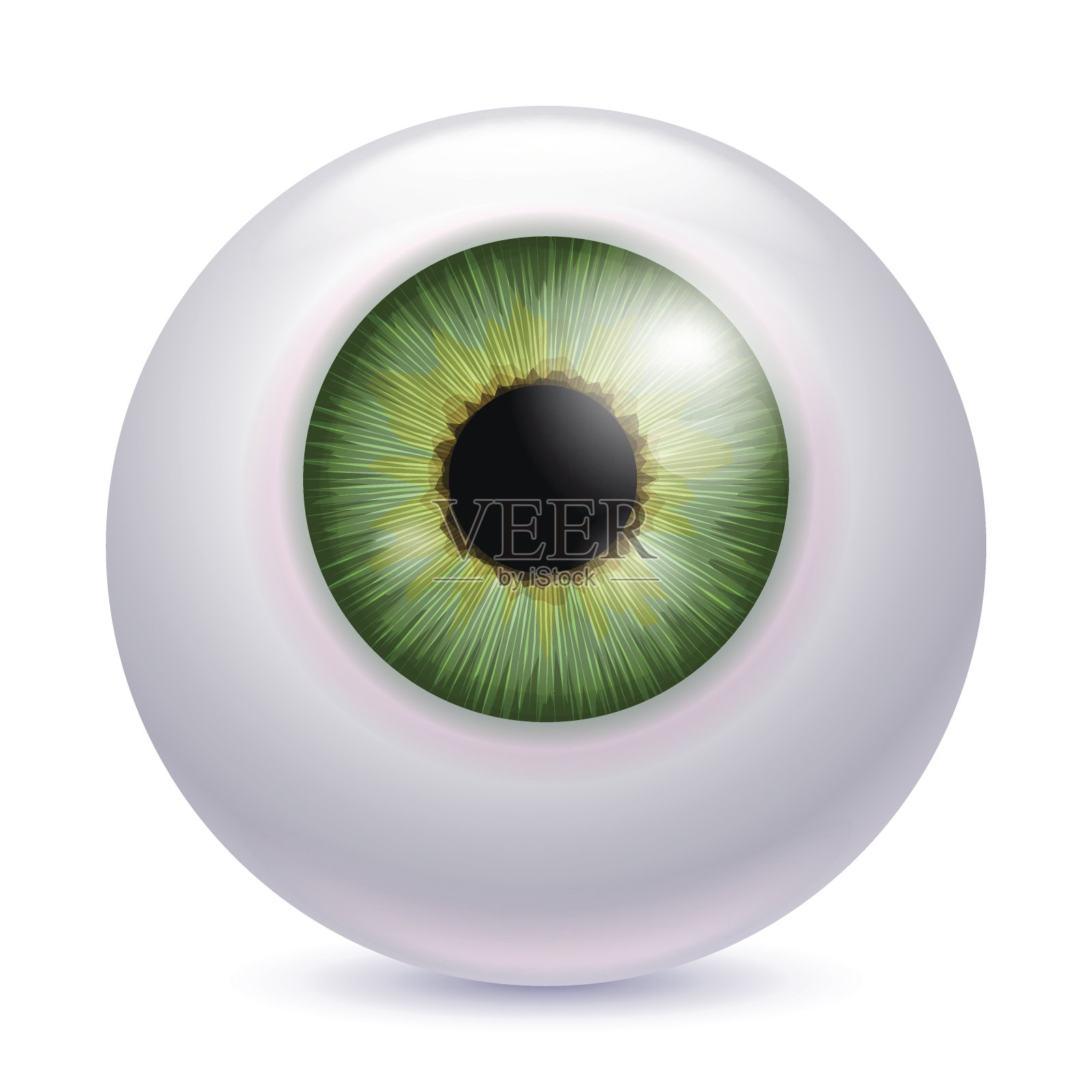 人眼球虹膜瞳孔呈绿色插画图片素材