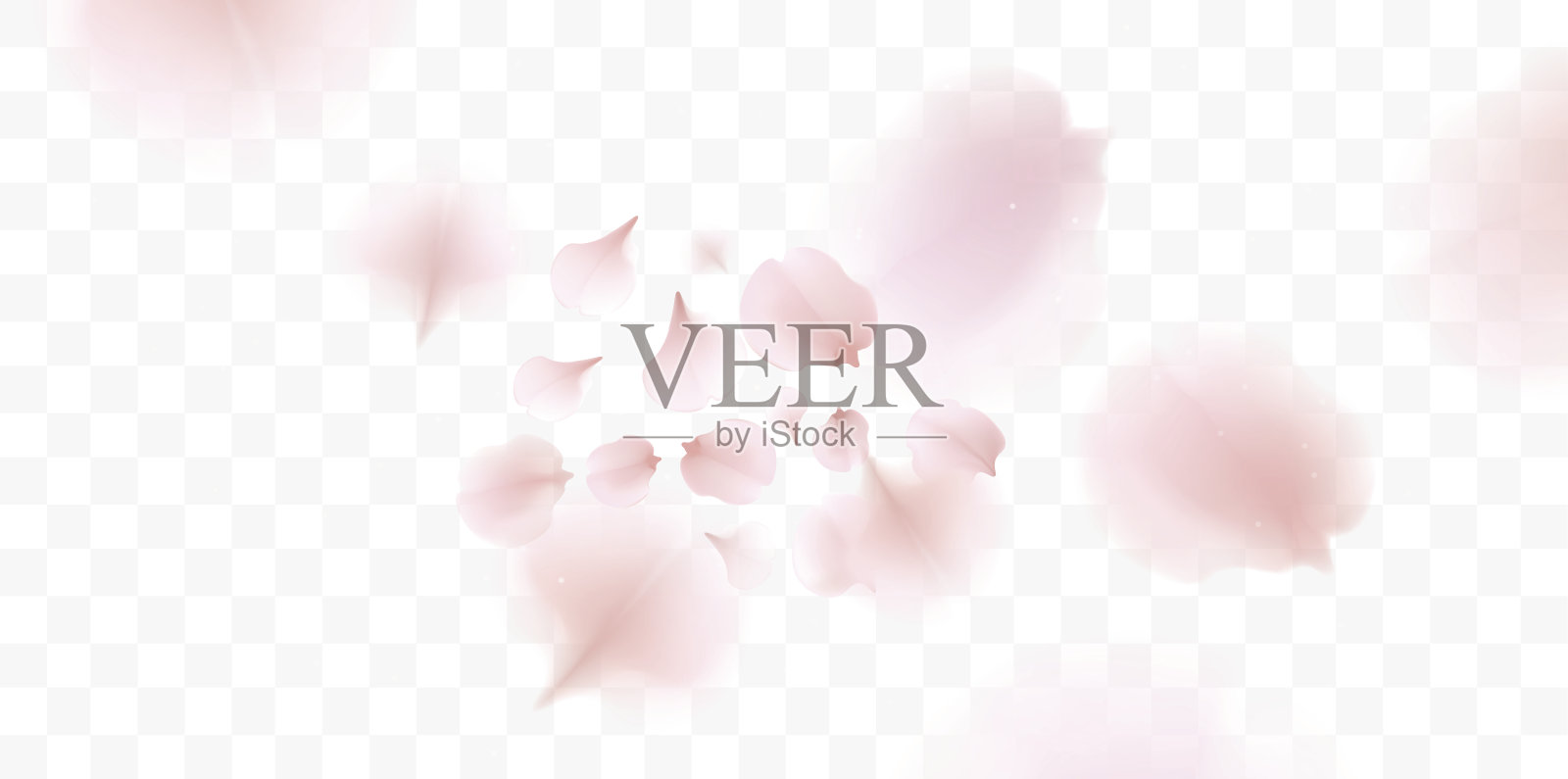 粉红色的樱花花瓣飘落的背景插画图片素材