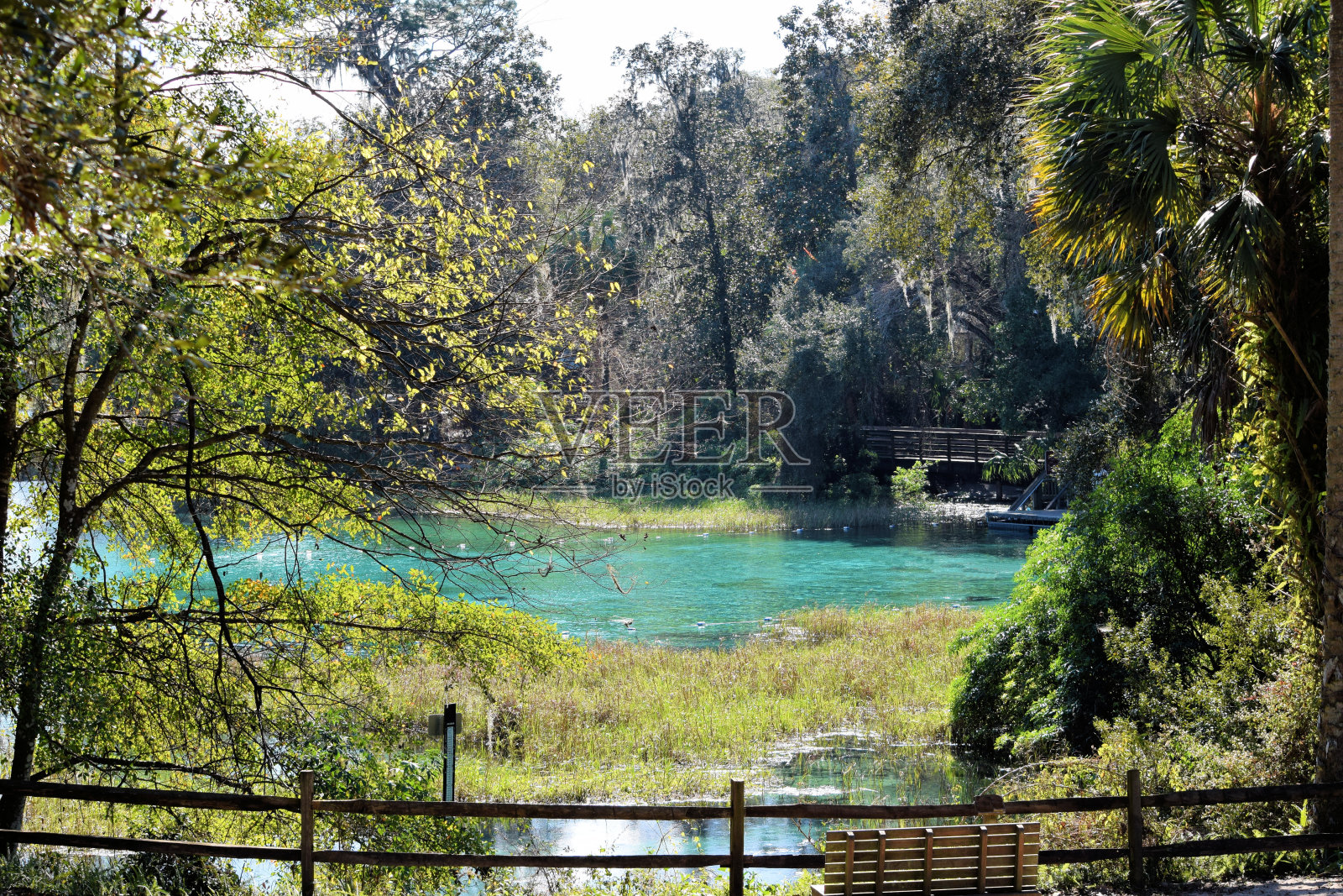 彩虹泉花园，佛罗里达照片摄影图片