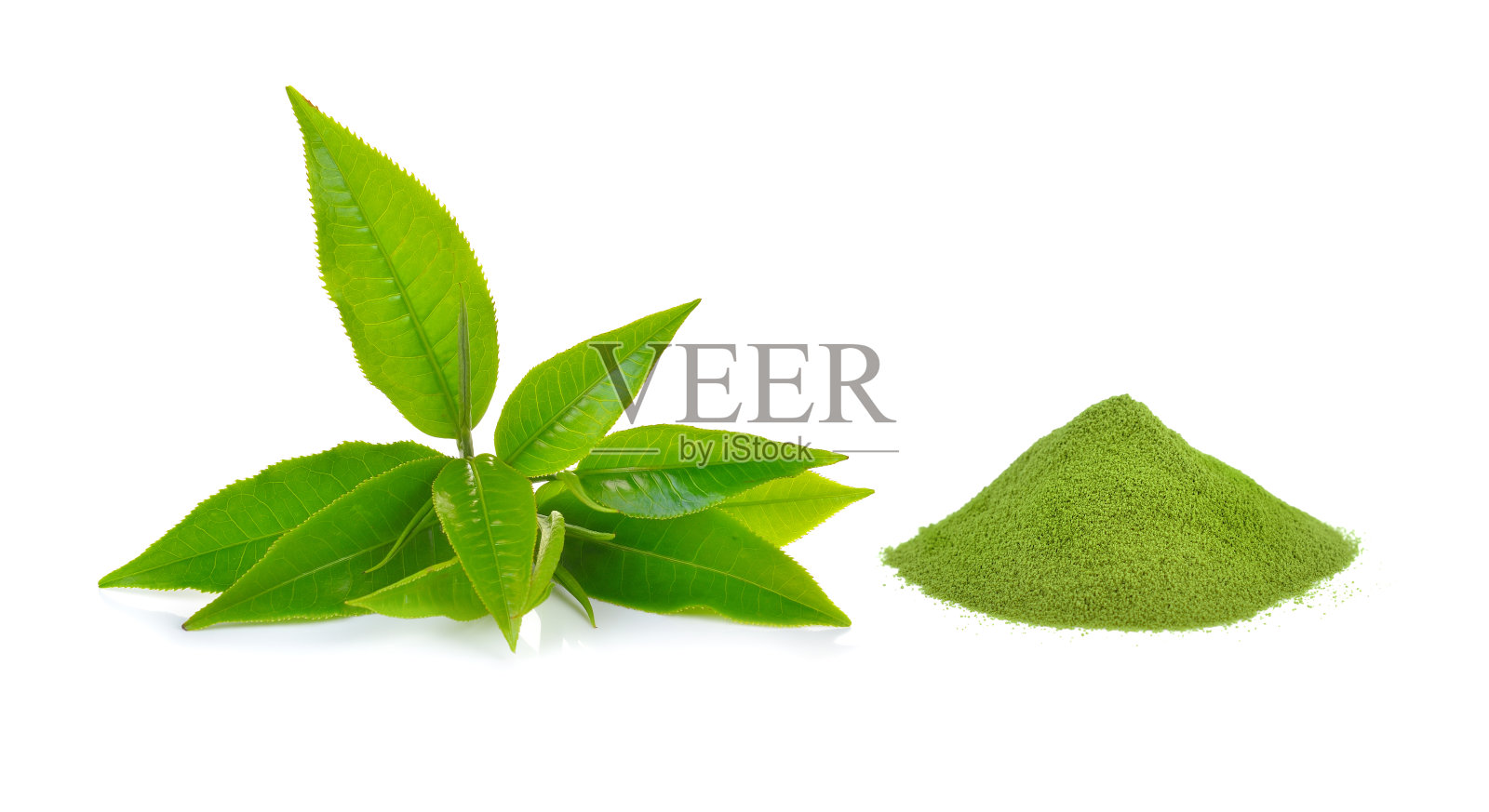 粉末状的绿茶和白色背景的绿茶叶子照片摄影图片