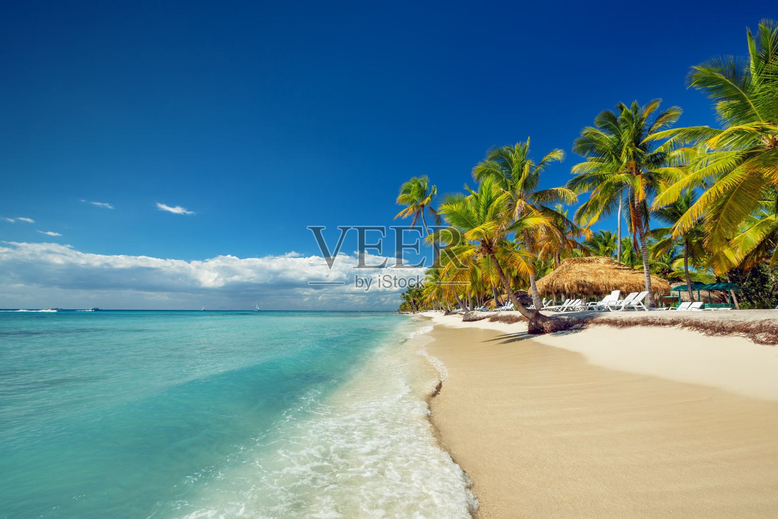 热带海滩上的白色沙滩和棕榈树照片摄影图片