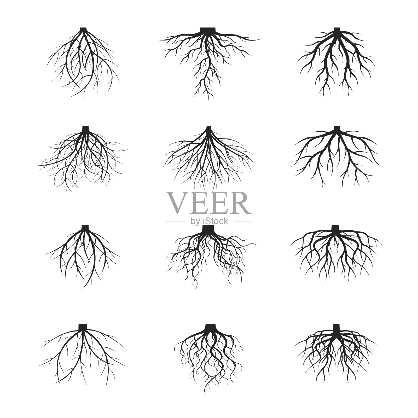 树和根。图形元素的集合。矢量插图。设计元素图片