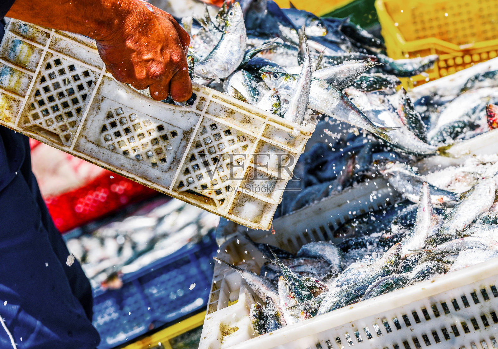 渔民在整理装鱼的容器照片摄影图片