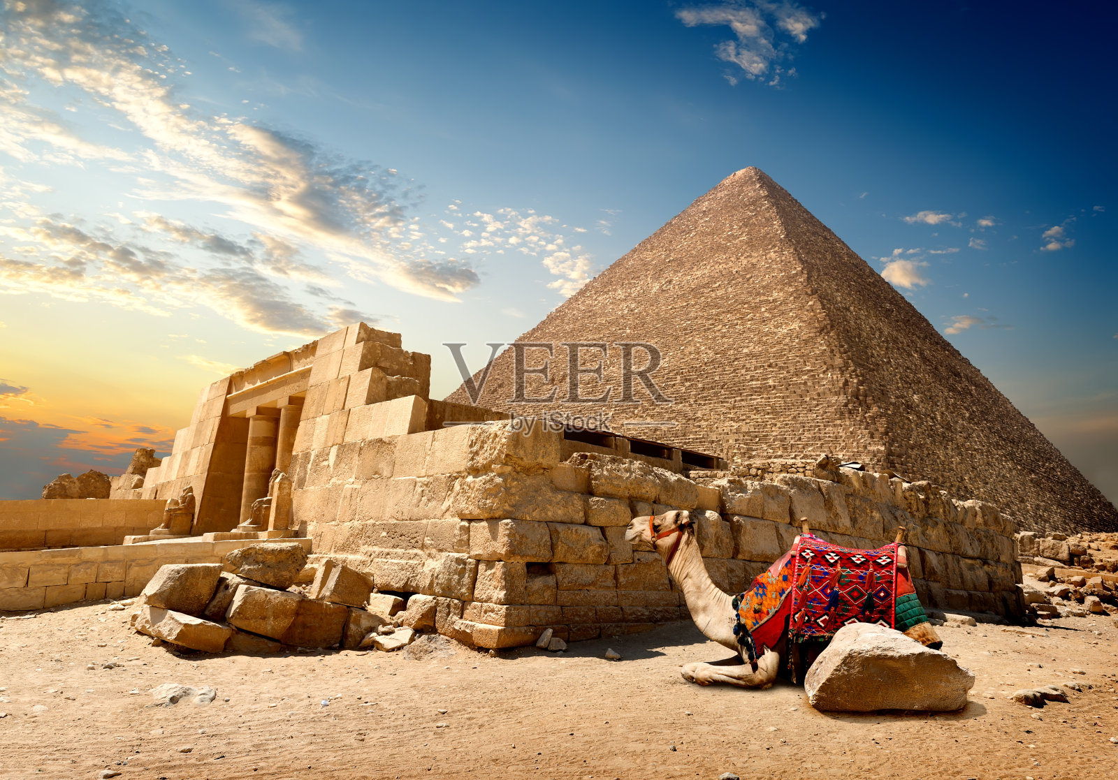 骆驼附近的废墟照片摄影图片