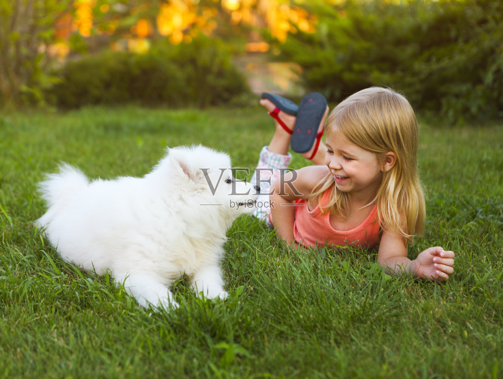 微笑的小女孩和萨摩耶小狗在花园里玩照片摄影图片