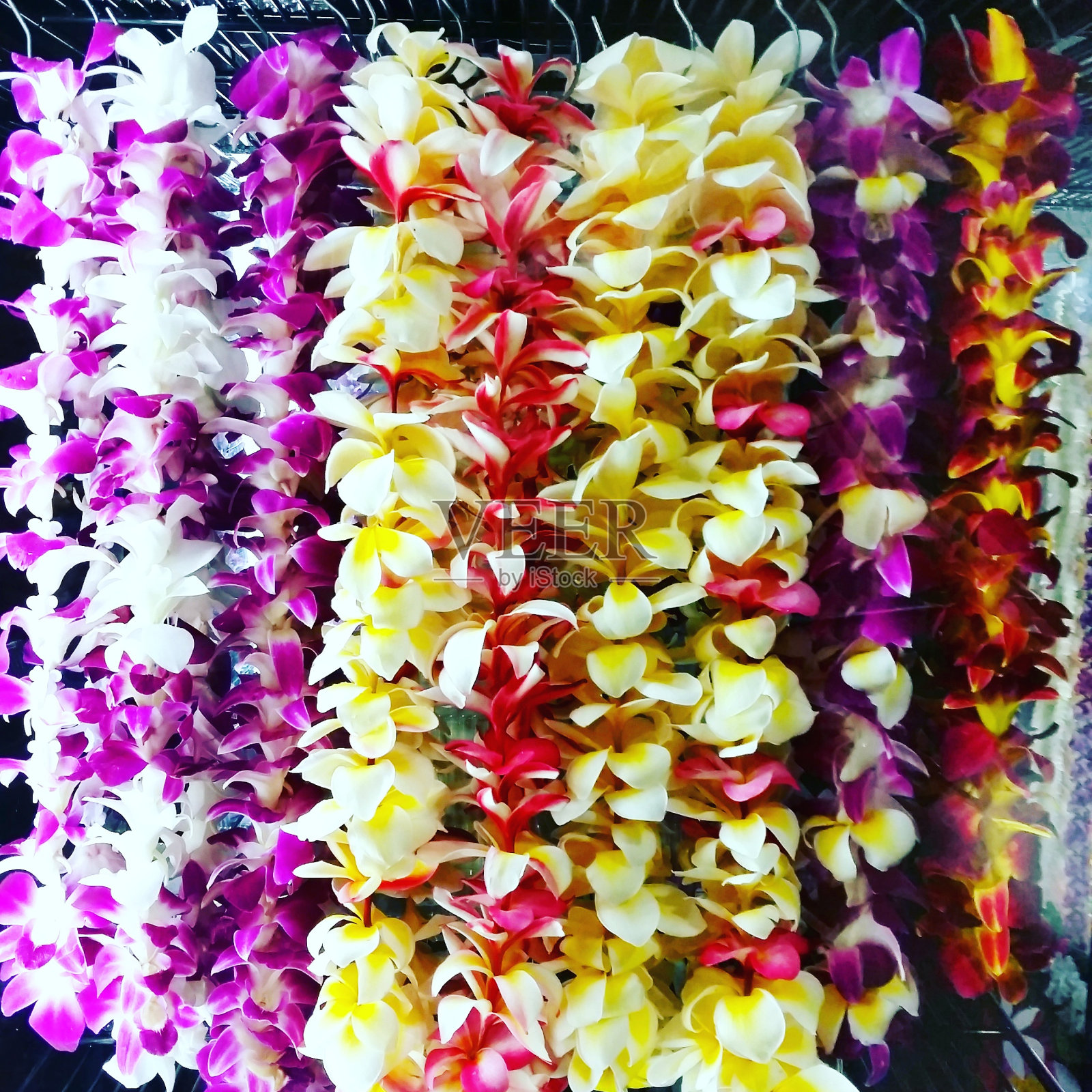 檀香山瓦胡岛出售的彩色夏威夷花环项链照片摄影图片